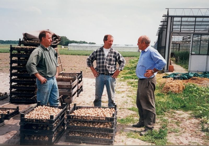 Bloemenkwekerij P.J. van der Meij