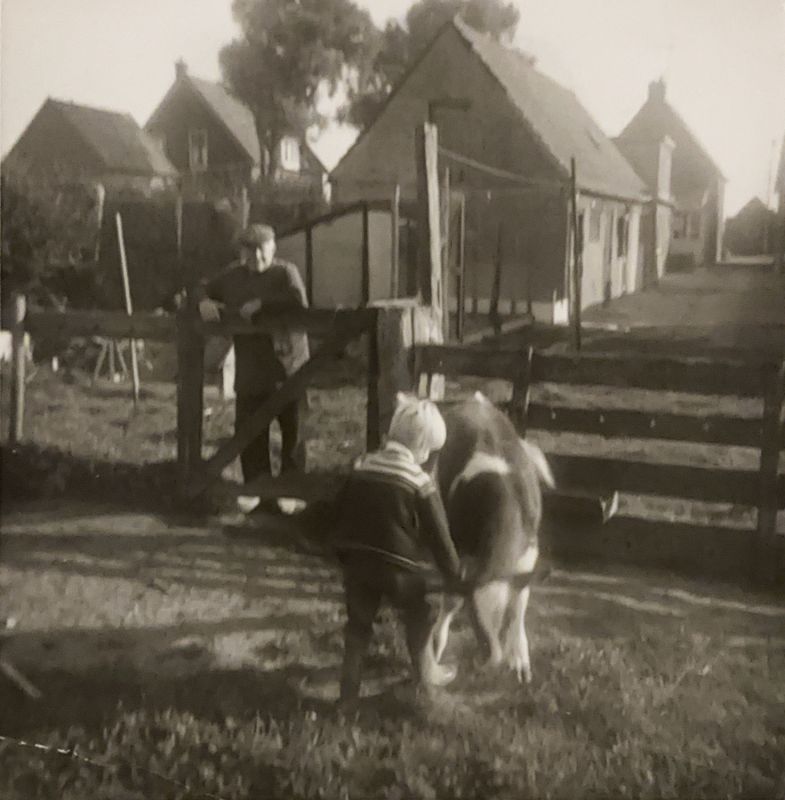 Melkveehouder van Tilburg, voorheen van Dijk - Hoofdstraat 132