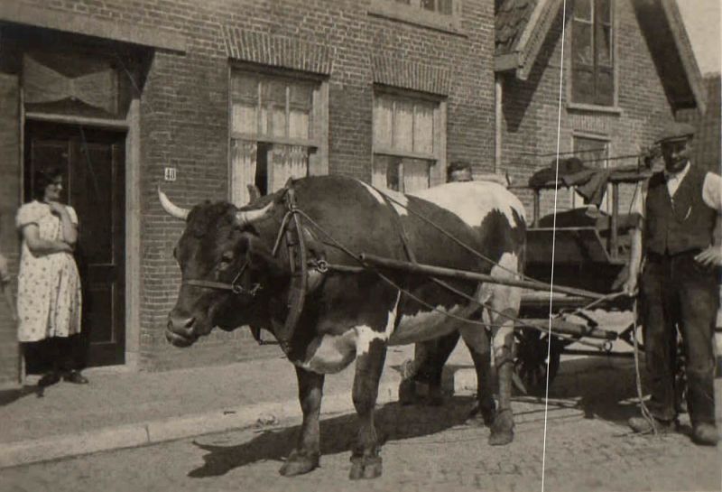 Hoofdstraat 52 (voor 1942: Valkenburgerweg 92)