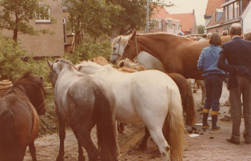 Paardenmarkt 1980 of later?