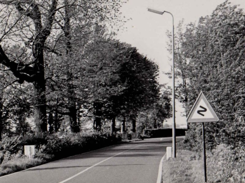 Voorschoterweg - straatbeeld