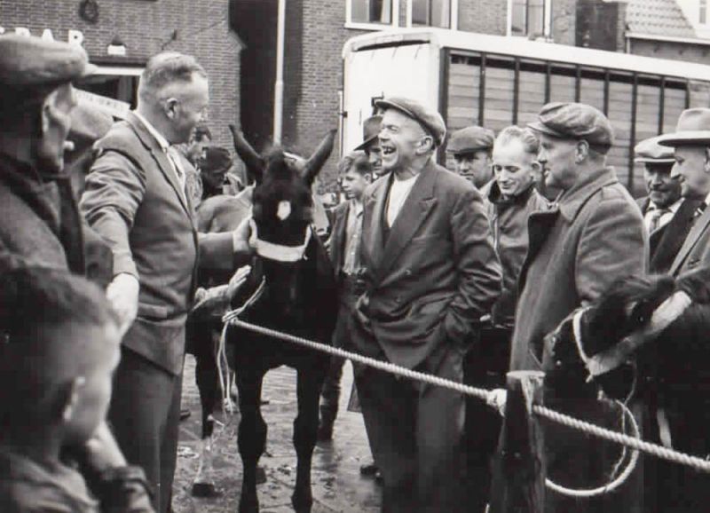 Paardenmarkt 1961