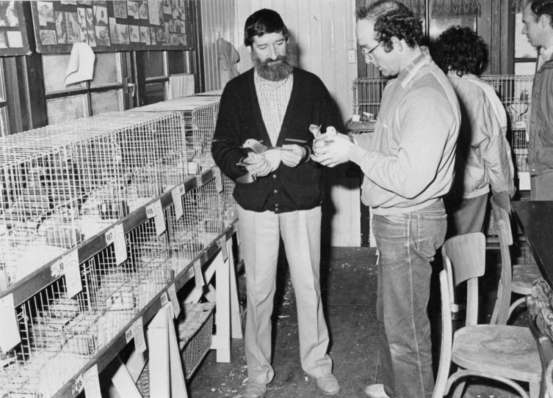 Postduivenvereniging