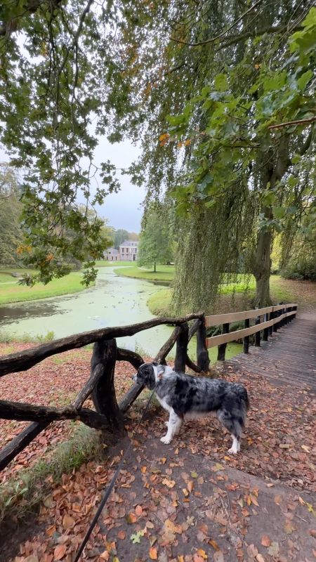 Met de hond langs Friese staten: vijf landgoederen, twee tuinarchitecten