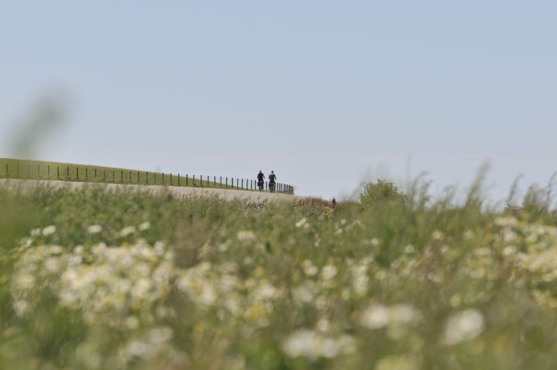Fietsers op de dijk bij Zwarte Haan