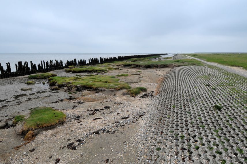 Oude slikwerken op het wad bij Moddergat