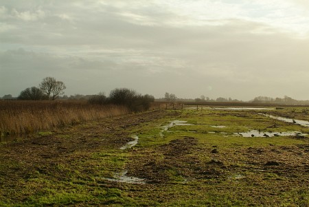 Oudega (Smallingerland)