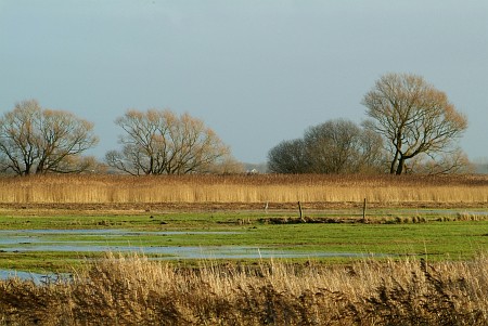 Oudega (Smallingerland)