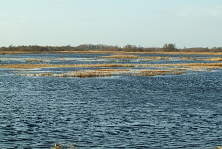 Oudega (Smallingerland)