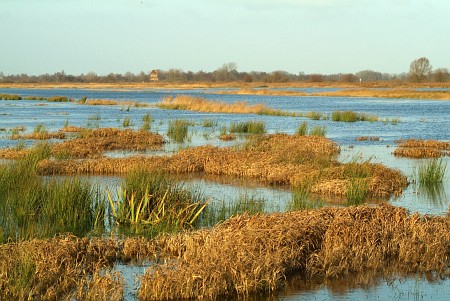 Oudega (Smallingerland)