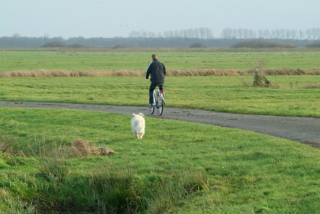 Oudega (Smallingerland)