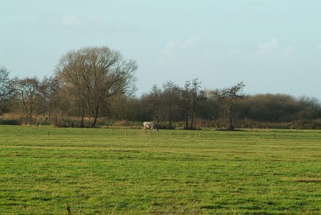 Oudega (Smallingerland)