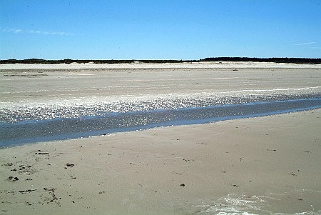 Schiermonnikoog