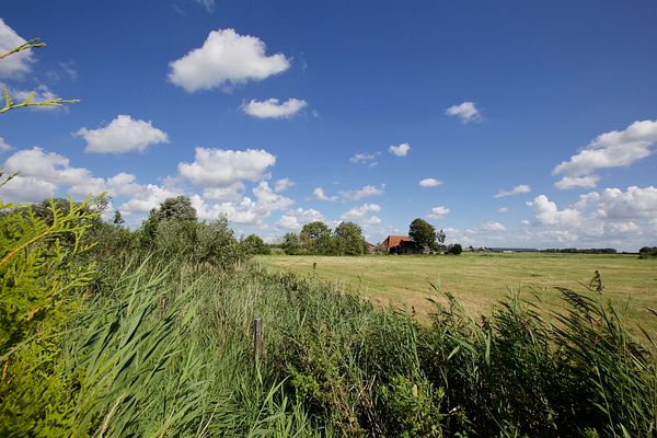 Waaksens zicht op Wommels