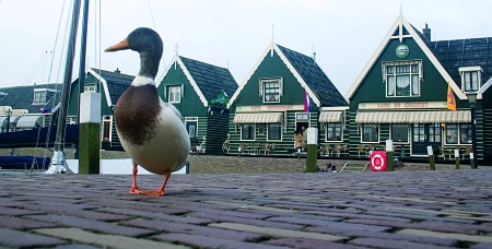 Marken