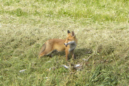 Nationaal Park Lauwersmeer