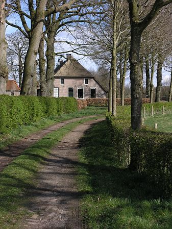 Zuidwolde