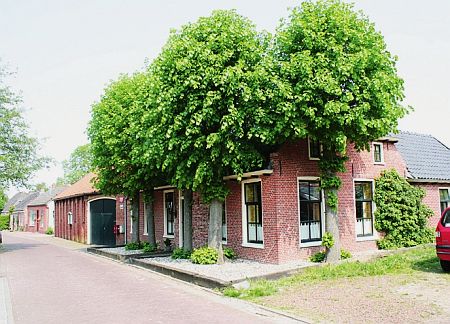 Sint Annen