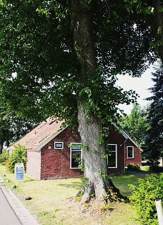 Wildervanksterdallen