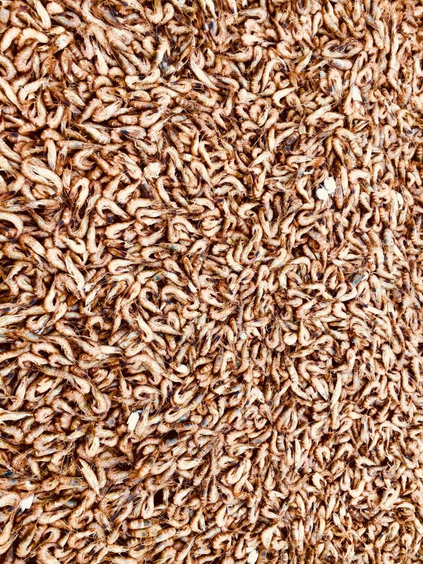 Garnalen in overvloed