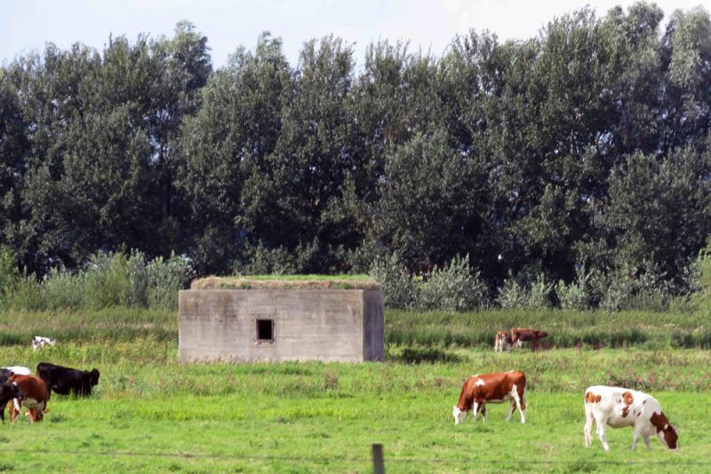 Bunker op het vliegveld