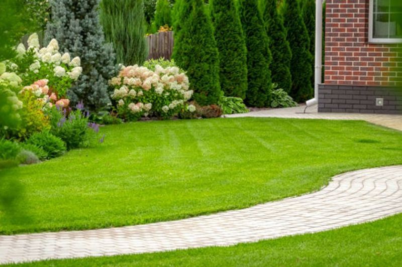 10 Kleine aanpassingen om je tuin gezelliger te maken in Friesland