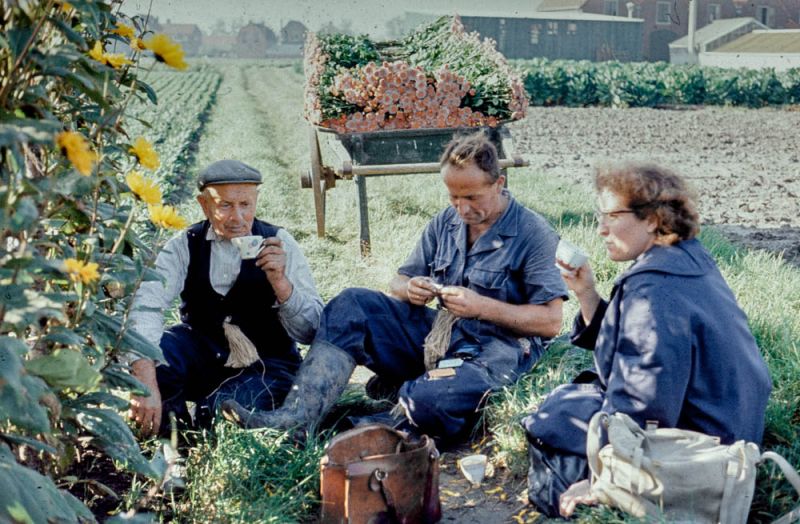 Fam. van Dijk-Leuering