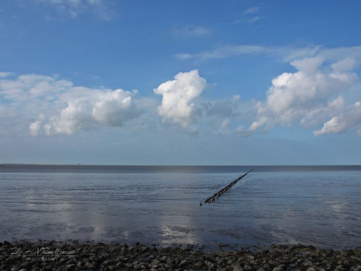 Het rijshout alleen nog zichtbaar bij laagtij