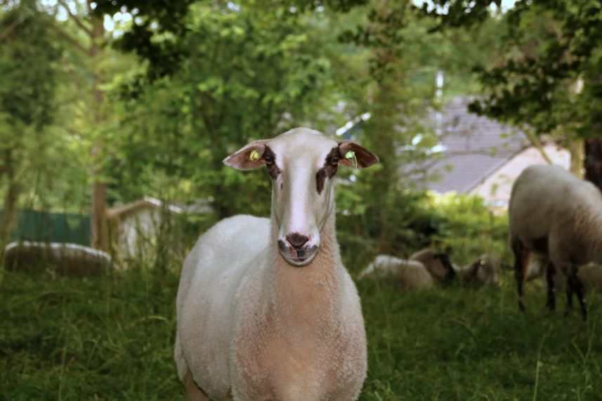 Beetje nieuwsgierig.