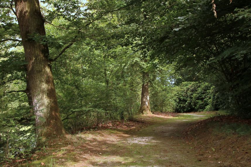 Wandel en fietsenroutes omgeving Oenkerk.
