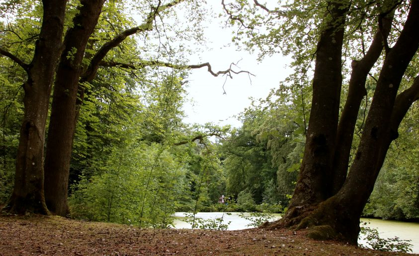 Wandel en fietsenroutes omgeving Oenkerk.