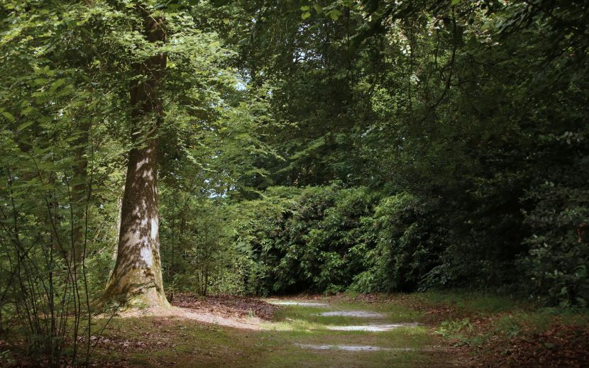 Wandel en fietsenroutes omgeving Oenkerk.