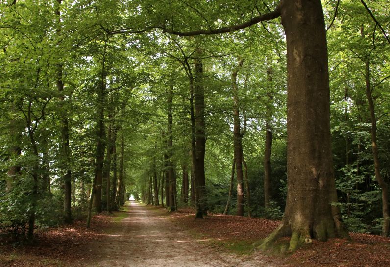 Wandel en fietsenroutes omgeving Oenkerk.