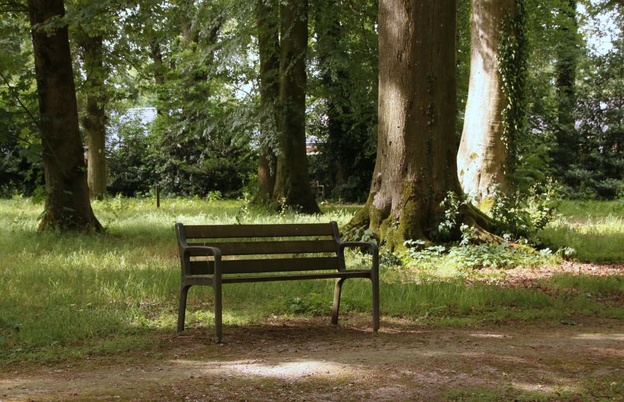 Wandel en fietsenroutes omgeving Oenkerk.