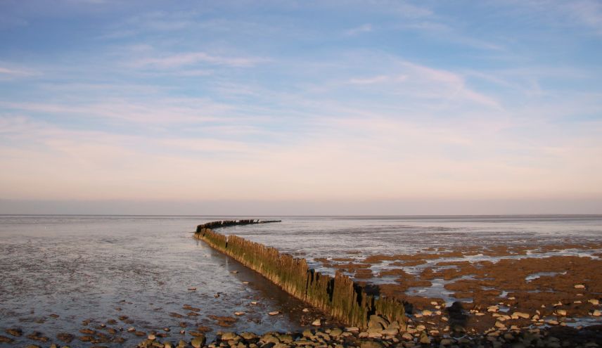 Avondlicht bij Wierum aan de Waddenzee.