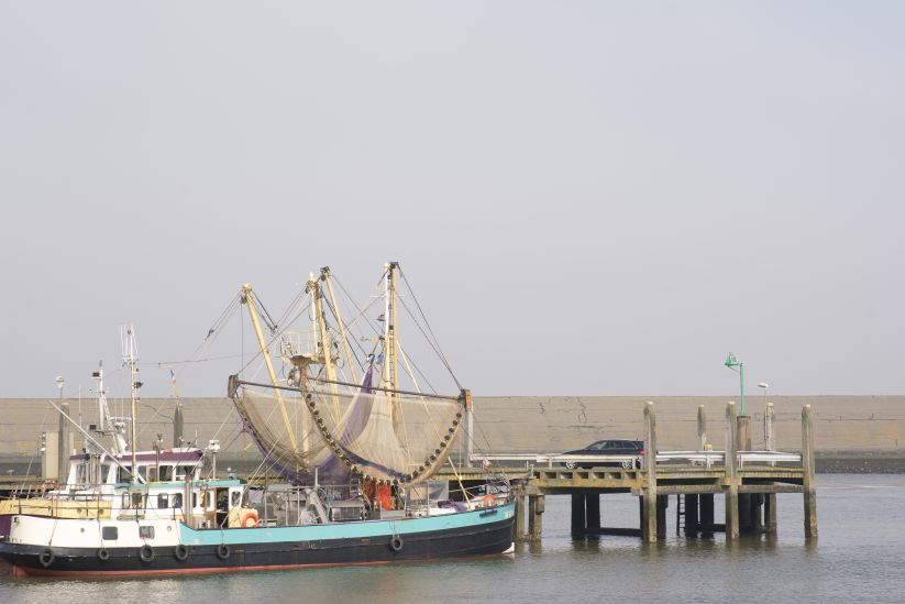 Vissersschepen in Harlingen