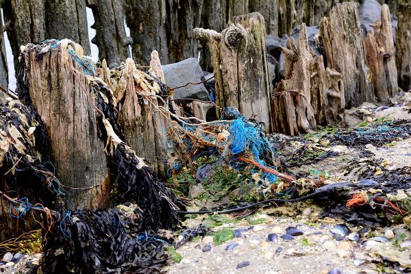 Vervuild wad bij Moddergat