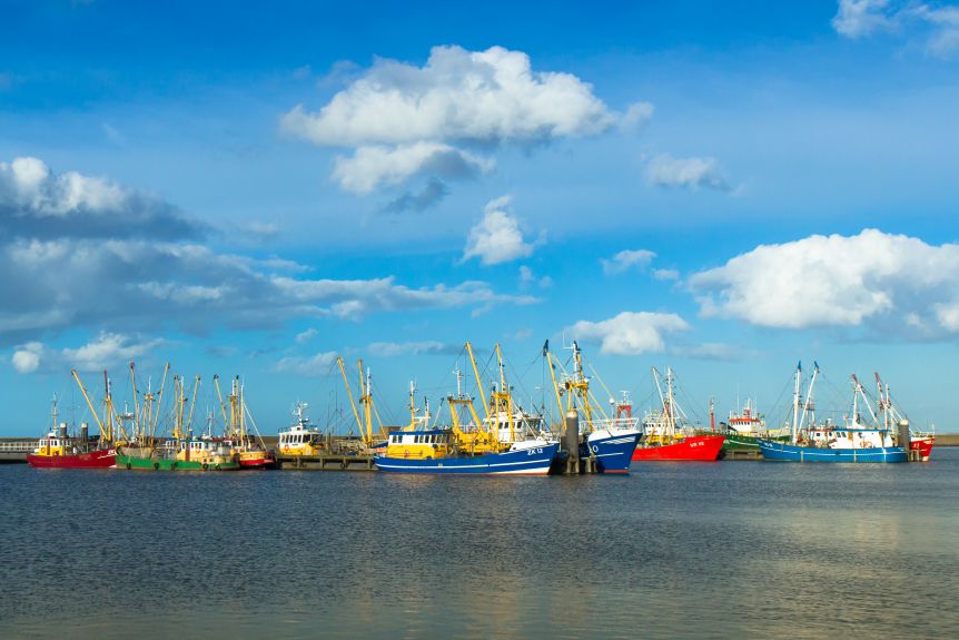 De haven van Lauwersoog