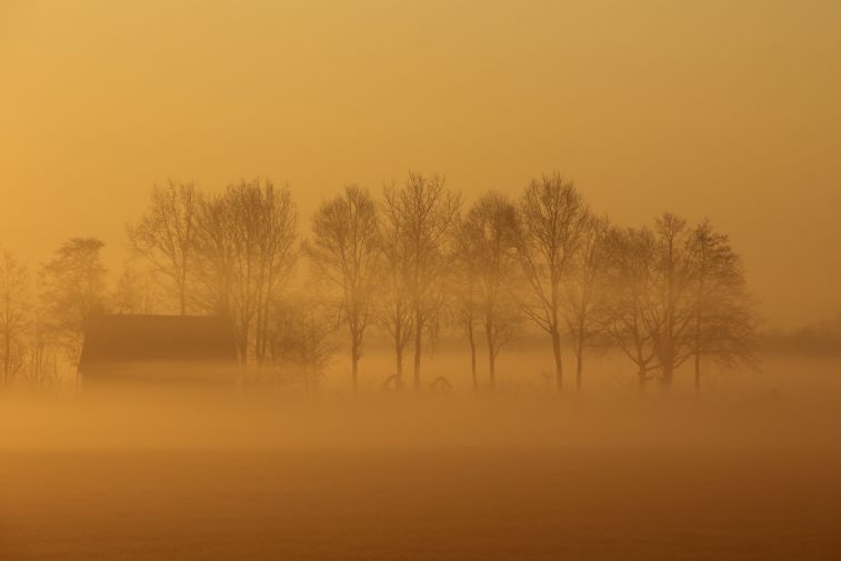 Ochtendnevel bij Beetsterzwaag