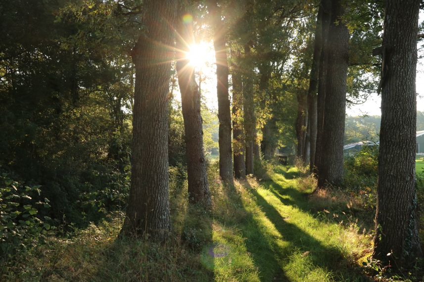 kerkepad Beetsterzwaag