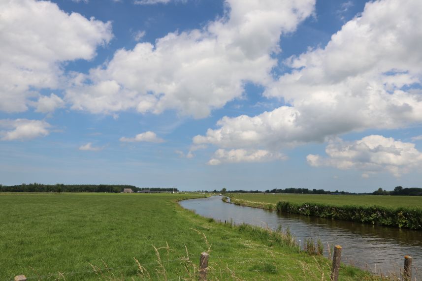 Weilanden bij Dronryp